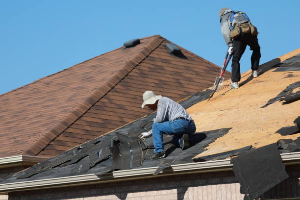 Best Metal Roofing Installation  in Windsor, VA