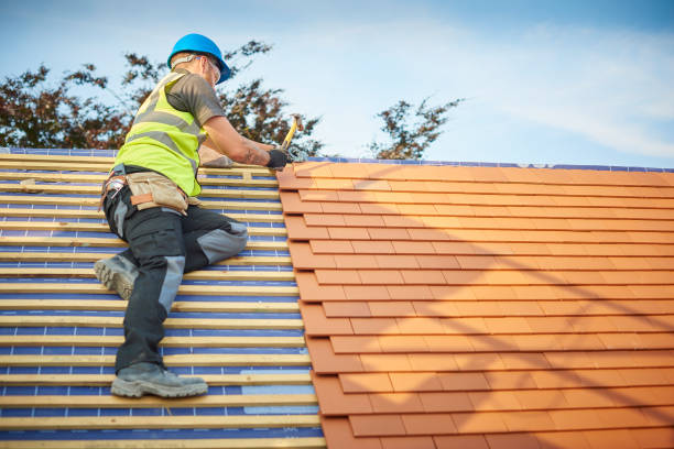 Best Green or Eco-Friendly Roofing Solutions  in Windsor, VA